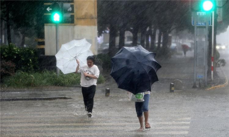 狂风骤雨,狂风骤雨是什么意思图4