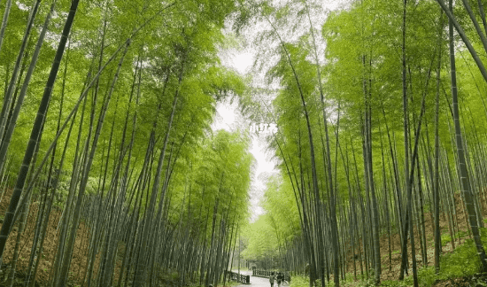 无锡有什么好玩的地方旅游景点,江苏无锡旅游必去十大景点推荐图6