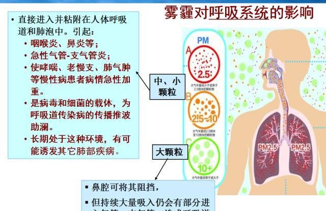 雾霾由什么组成,雾霾具体成分是哪些图1