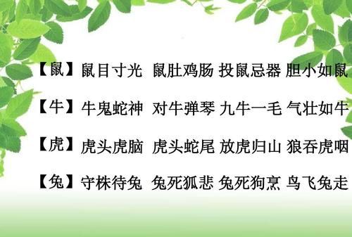 狼吞虎咽的动物成语有哪些,狼吞虎咽含动物的词语有哪些图1