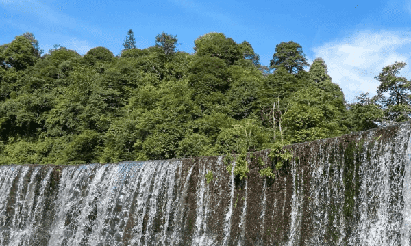 四川省旅游景点,四川有哪些旅游景点好玩的地方适合小朋友图9