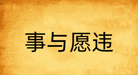 事与愿违是什么意思,事与愿违什么意思