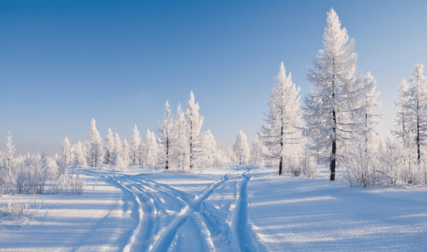 含有雪的成语,带雪的成语00个图2