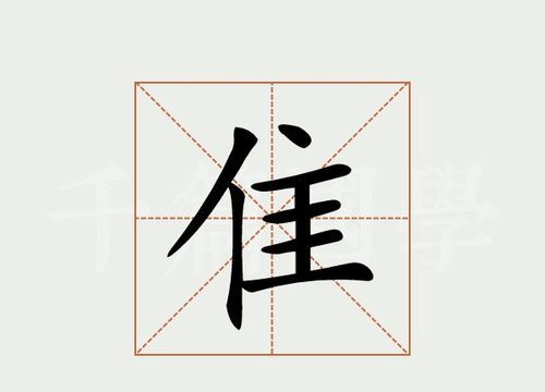 隹字旁的字有哪些,带佳字旁的字有哪些图3