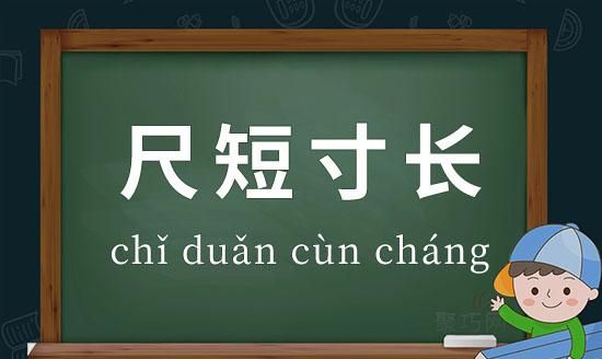 尺有所短的意思,尺有所短寸有所长是什么意思解释图2