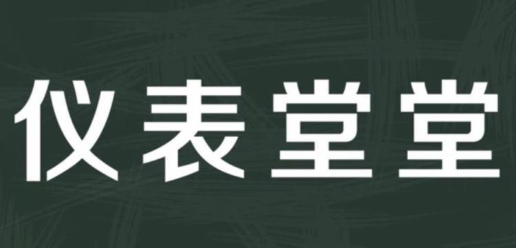 仪表堂堂是什么生肖,兔子生肖怎么读图4