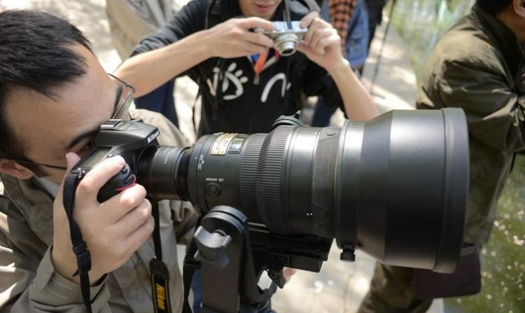 d700 如何拍摄,尼康d700摄像模式图4