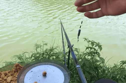 春季钓鲫鱼用什么饵料,春天钓鲫鱼用什么味型饵料最好怎么找钓点好图3