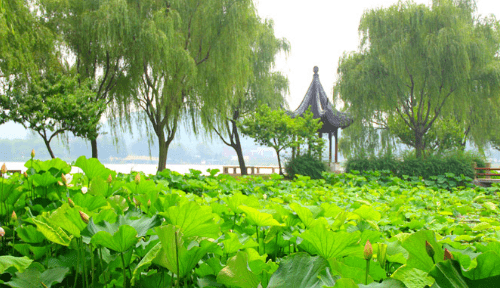 狂风暴雨是什么季节的词语，狂风暴雨描写的是哪一个季节的景象