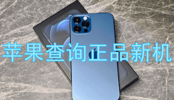 苹果手机iphone 怎么查是不是原装,苹果手机怎么检查是不是原装屏幕图6