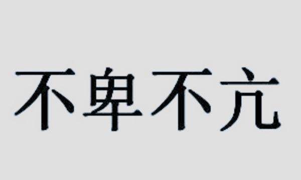 不卑不亢什么意思,不卑不亢是什么意思图1