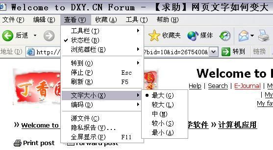 如何改变网页固定字体大小,网页字体大小怎么调图2