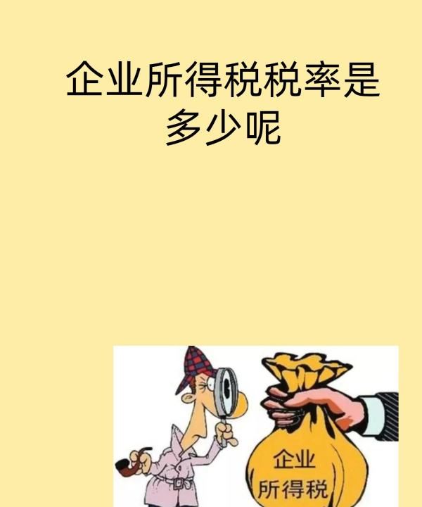 企业所得税率是多少,企业所得税税率是多少