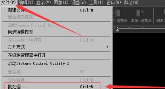 如何将nef转换成jpg,如何将nef格式简单批量转jpg图5