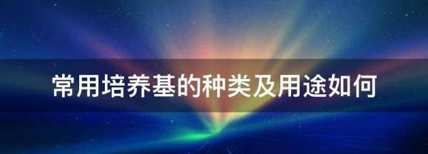 选择培养基的类型有哪些,实验室常用培养基及其类型图2