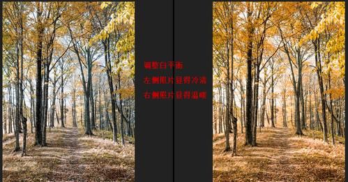 白平衡怎么运用,白平衡包围偏移怎么用图3