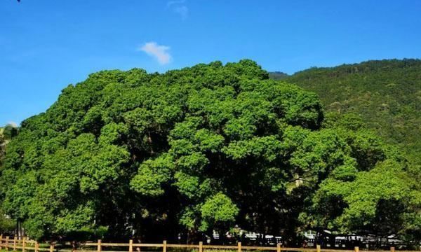 福建旅游必去十大景点,福建福州旅游必去十大景点图8