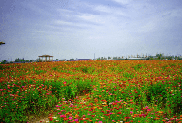 湖州有什么好玩的地方旅游景点,浙江湖州有哪些旅游景点好玩图7