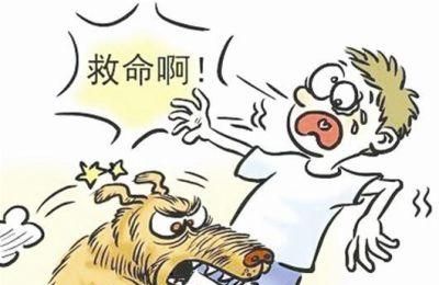 做梦被狗咬,梦见被猫狗咬伤意味着什么图3