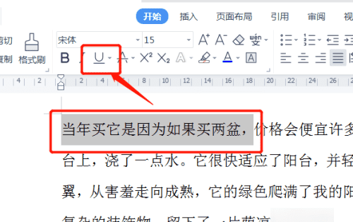 word中怎么画横线,在word中怎样画出横线框图6