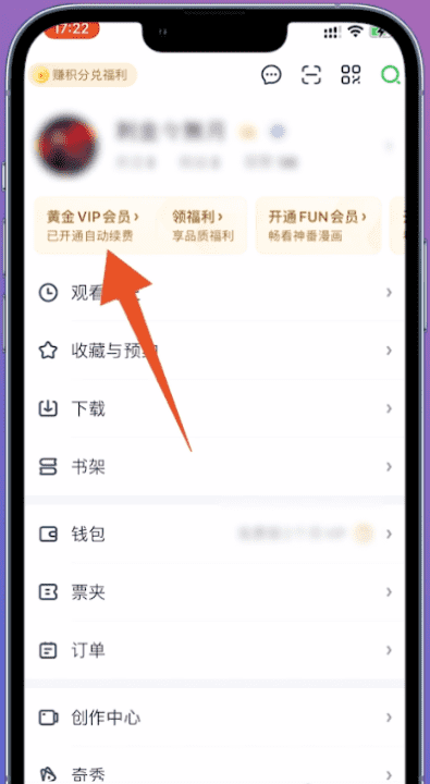 怎么关闭爱奇艺会员自动续费，爱奇艺自动续费在哪里关闭苹果手机图2