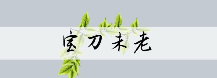 宝刀未老什么意思,宝刀未老是什么意思图1