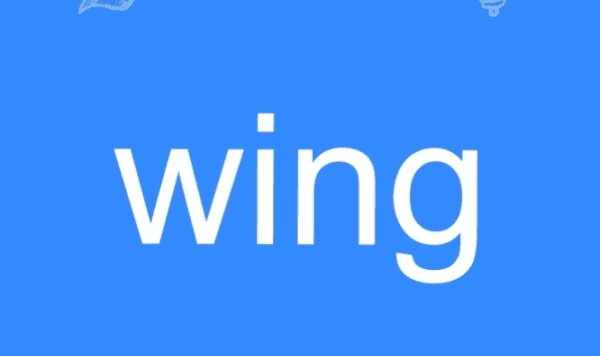 wing是什么意思,wing是什么意思