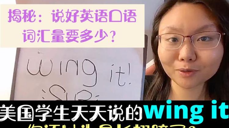 wing是什么意思,wing是什么意思图2