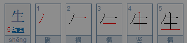 生的笔顺 正确,生的笔画顺序怎么写的顺字图4