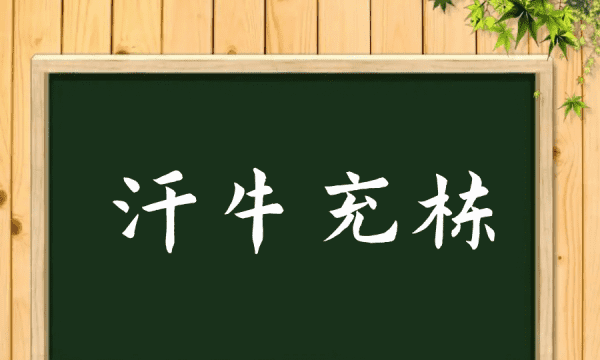 汗牛充栋的意思,汗牛充栋的意思解释是什么图1