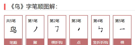 鸟的笔顺是什么写的,鸟的笔顺怎么写图3