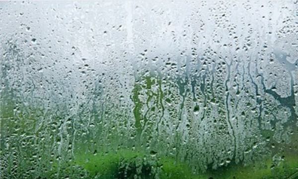 雨的笔顺笔画,雨笔顺怎么写图4