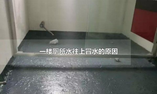 一楼卫生间反水怎么解决,一楼卫生间马桶反水怎么办图3