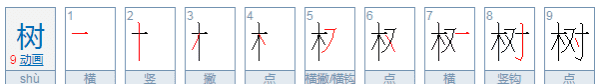 树的笔顺,树怎么写笔画图3