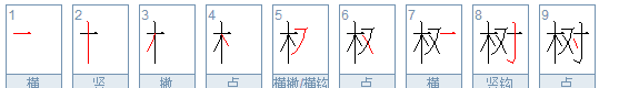 树的笔顺,树怎么写笔画图7