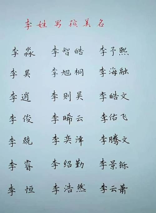 李姓男孩100分名字,00分的李男孩子名字 最美好的李姓宝宝名字推荐图2