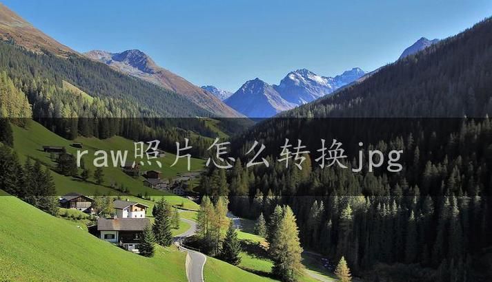 怎么样把raw转换成jpg,怎样把raw格式转成jpg格式的图2