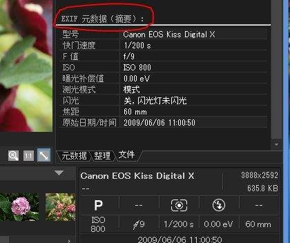 如何看exif信息，acdsee 如何查看exif图1