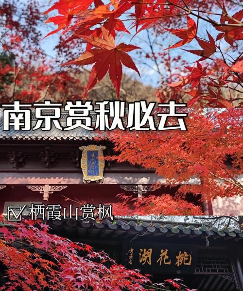 栖霞山免门票时间,南京栖霞山门票多少钱一张图1