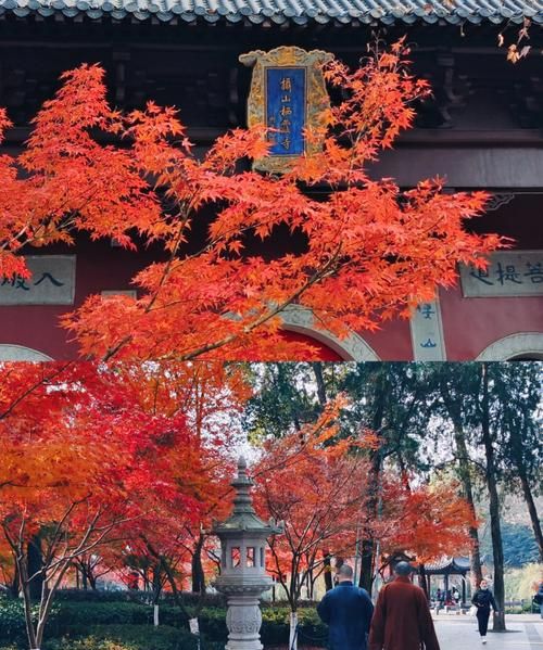 栖霞山免门票时间,南京栖霞山门票多少钱一张图11