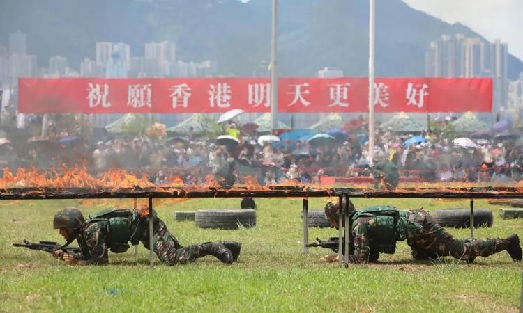 6月30日,个人6月30日出生的他属什么生肖图3