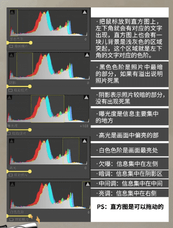 ps直方图怎么用,ps旅游海报制作教程步骤图5