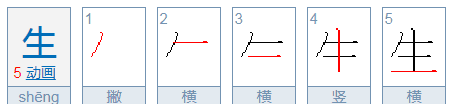 生的笔顺怎么写,生笔画顺序图3