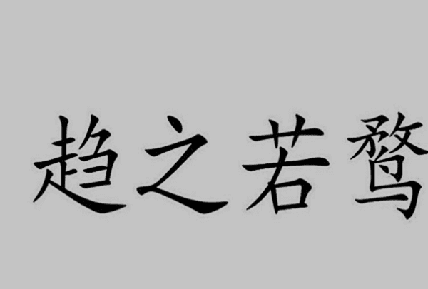 趋之若鹜是什么意思,趋之若鹜是什么意思图3