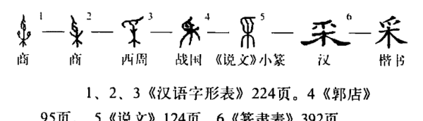 采的笔顺笔画,采字笔顺图5