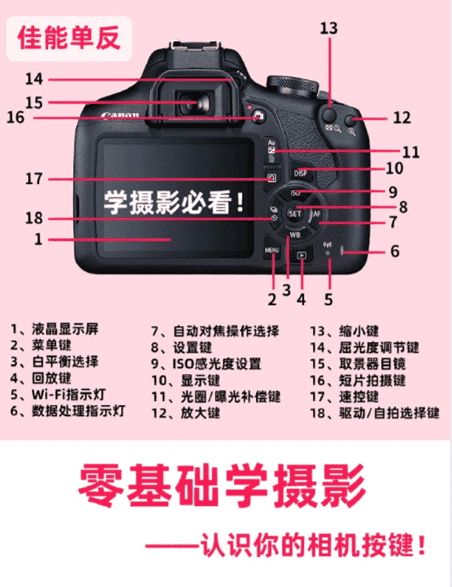 单反相机上照片风格设置怎么调,零基础学摄影从认识相机按键开始学可以图1