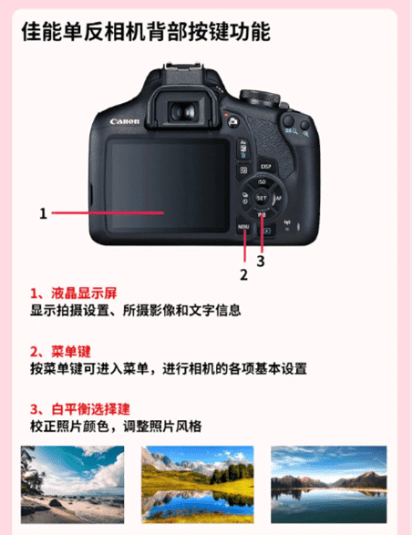 单反相机上照片风格设置怎么调,零基础学摄影从认识相机按键开始学可以图2