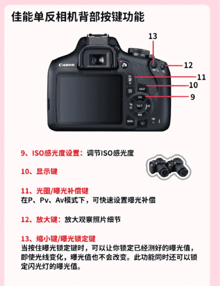 单反相机上照片风格设置怎么调,零基础学摄影从认识相机按键开始学可以图4