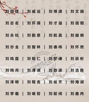 刘姓取名字大全男孩202,刘姓男孩单字名字大全属虎图4