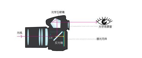 简易阐述相机的成像原理是什么,照相机成像原理是什么初中物理图4